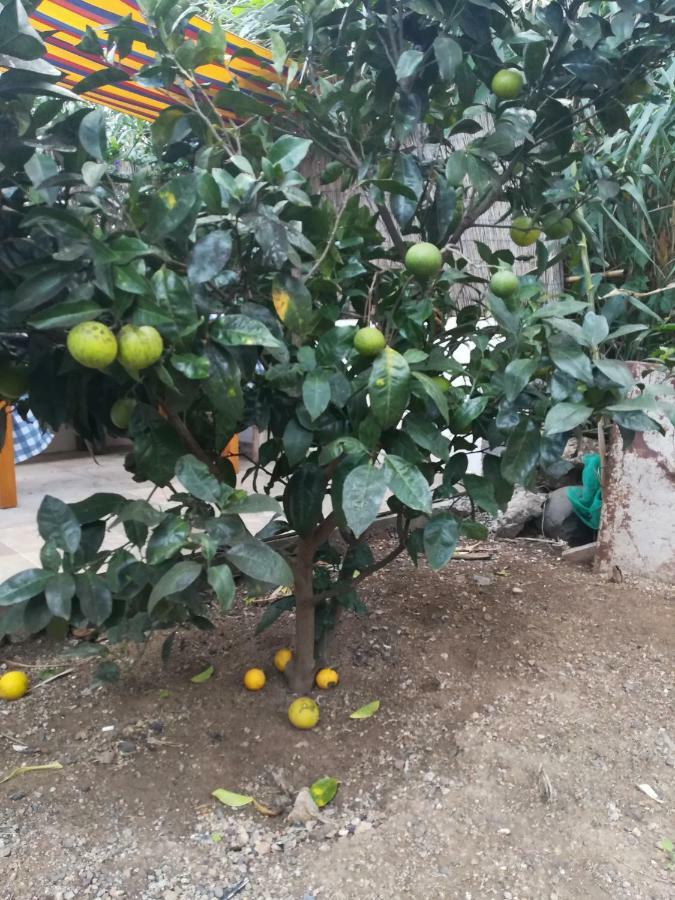 바예에르모소 Casa La Terraza 빌라 외부 사진