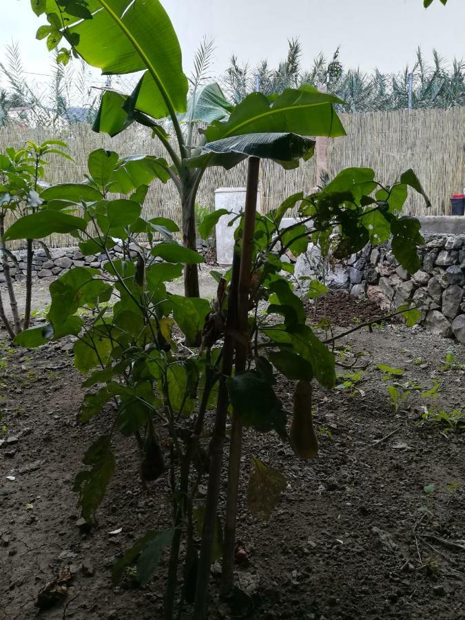 바예에르모소 Casa La Terraza 빌라 외부 사진