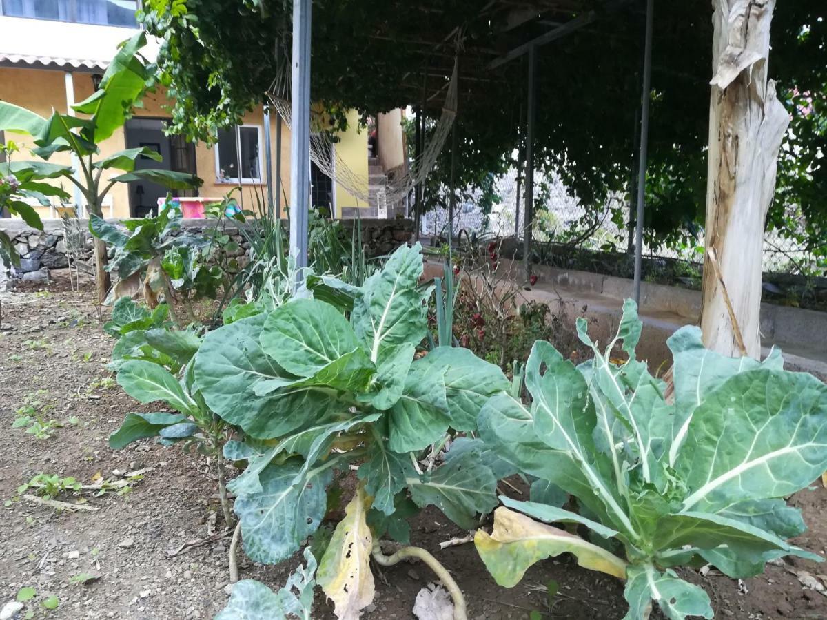 바예에르모소 Casa La Terraza 빌라 외부 사진