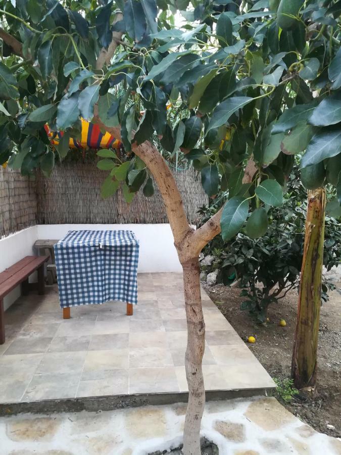 바예에르모소 Casa La Terraza 빌라 외부 사진