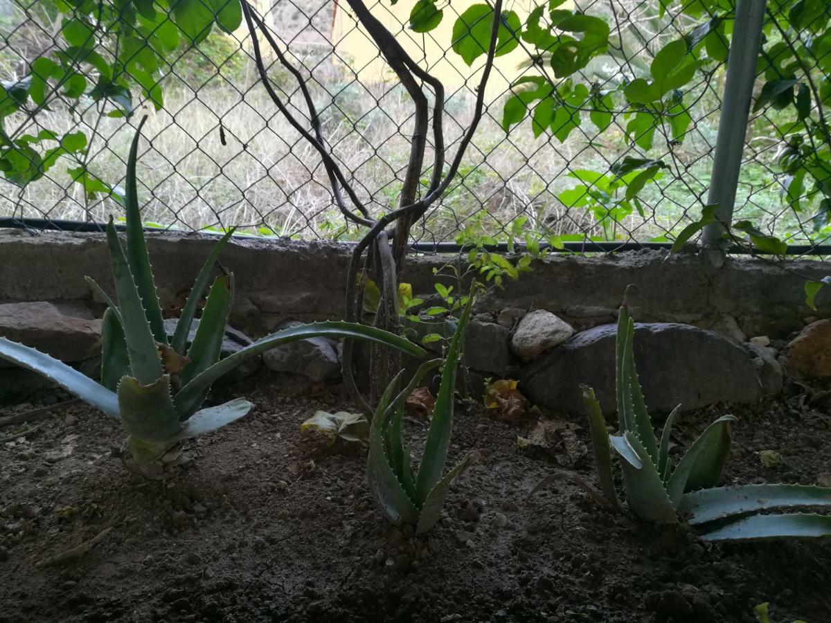 바예에르모소 Casa La Terraza 빌라 외부 사진