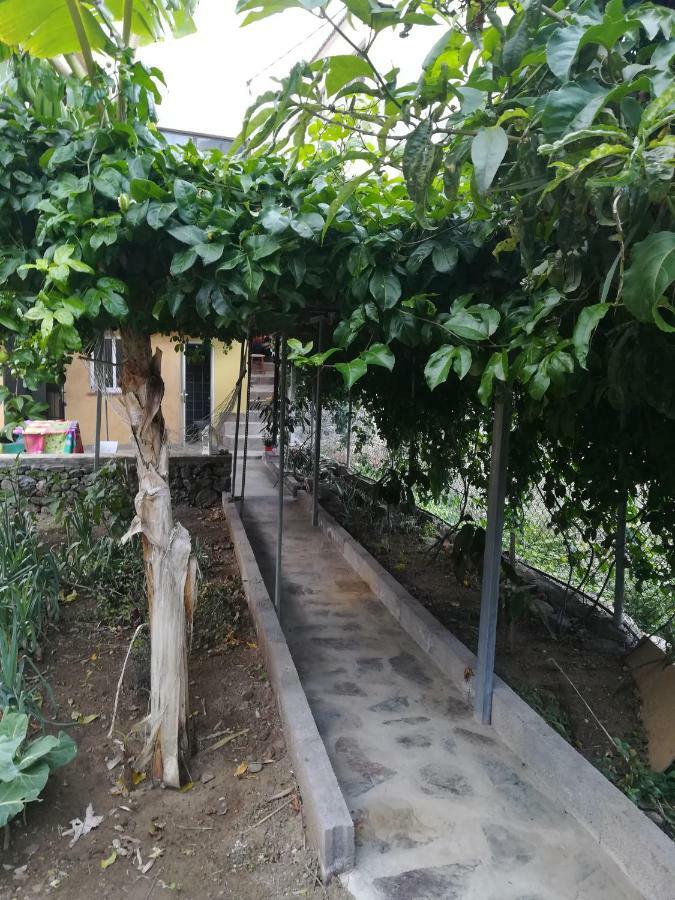 바예에르모소 Casa La Terraza 빌라 외부 사진