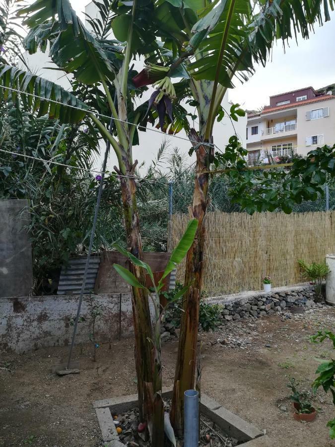 바예에르모소 Casa La Terraza 빌라 외부 사진