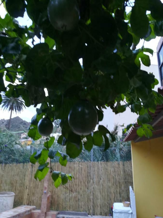 바예에르모소 Casa La Terraza 빌라 외부 사진